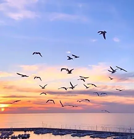 Mille Tramonti Sunset أغروبولي